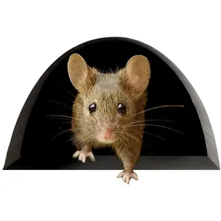 Niedlicher Maus-wandaufkleber – Küchendeko – Kreative Wohndeko