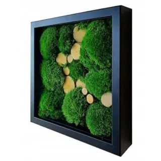 HelloMoss Bilderrahmen mit Kissenmoos und Holzscheiben, Moosbild Kugelmoos, Ballenmoos Polstermoos, Kissenmoos, 3D-Rahmen, Tiefer Kastenrahmen natürlicher zeitloser Füllung, Schwarz, 30x30cm