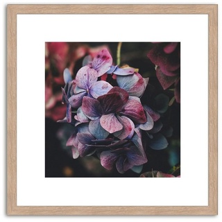 artissimo Bild mit Rahmen Bild gerahmt 30x30cm / Design-Poster inkl. Holz-Rahmen / Wandbild, Blumen: Lila Blüten I bunt