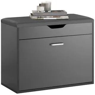 SoBuy FSR95 60 x 50 x 30 cm grau gepolstert / grau