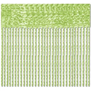 BestLivings Fadenvorhang 1-läufig Ø 0 mm 240 cm Mint