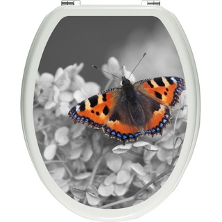 Pixxprint Bezaubernder Schmetterling Blüten schwarz/weiß als Toilettendeckel Aufkleber, WC, Klodeckel-Maße: 32x40 cm, Gläzendes Material Toilettendeckelaufkleber, Vinyl, bunt, 40 x 32 x 0.02 cm