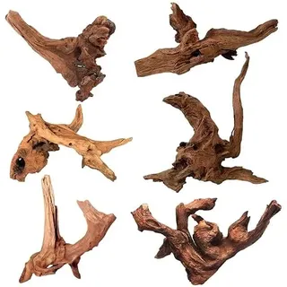 NCOALE 6 Stück Aquarium Wurzel Echtholz, Natürliches Treibholz Deko Aquarium Holzdekoration Root Kleines für Aquascaping Reptilien Innendekoration