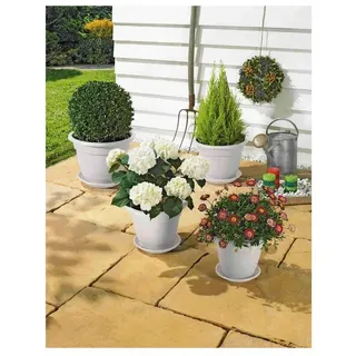 Alpfa Blumentopf-Set inkl. Untersetzer - 8-teilig weiß