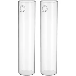 SOLUSTRE 2 Stück Wandvasen Glas mit Zylindrischer Form Geeignet für Vermehrte Pflanzen in Vase zur Wandmontage als Dekorative Glas Pflanztöpfe