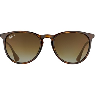 Ray Ban Erika RB4171 710/T5 54-18 tortoise-gunmetal/brown gradient