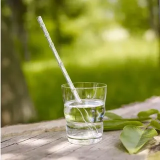 Glas-Trinkhalm Calamus