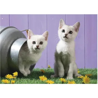 Katzenschwestern (Puzzle)