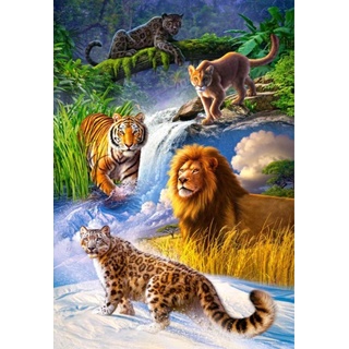 Wowdecor DIY Malen nach Zahlen Kits Geschenk für Erwachsene Kinder, Malen nach Zahlen Home Haus Dekor - Löwe Tiger Leopard Wald Tier Königreich 40 x 50 cm Rahmen