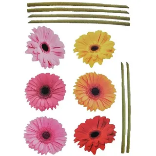 alles-meine.de GmbH XXL Wandtattoo/Sticker - Gerbera mit Stengel - Aster Blüten Blumen - selbstklebend für Wohnzimmer und Deko Wandsticker Aufkleber