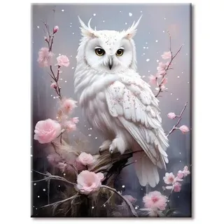 77iiAii Diamond Painting Erwachsene Eule 30x40cm | Diamant Painting bilder Kreative Geschenke für Geburtstage, Muttertag und Weihnachten – Wanddeko