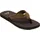 Brown 43