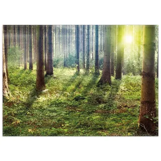 Wallario Teppich Sonnenuntergang im Wald zwischen den Bäumen, rechteckig, rutschfest gelb