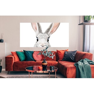 MuchoWow Poster Kaninchen - Tiere - Natur - Weiß, (1 St), Bild für Wohnzimmer, Schlafzimmer, Wandposter, Ohne Rahmen, Wanddeko bunt 160 cm x 80 cm