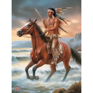 Reofrey 5d Diamond Painting Zubehör Indianer, DIY Full Dril Pferde Diamant Painting Bilder Set Diamant Malerei Vollbohrer, Kreuzstich Erwachsene Stickerei Crystal Strass Foto Craft30x40cm