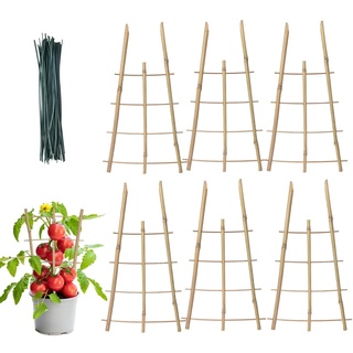 Hongjingda Bambusspalier, Quadratisches 6er-Pack Rankgitter aus natürlichem Bambus, Pflanzenstützspalier, Blumenspalierpfähle für Mini-Kletterpflanzen im Innenbereich, Topfpflanzen, Zimmerpflanzen