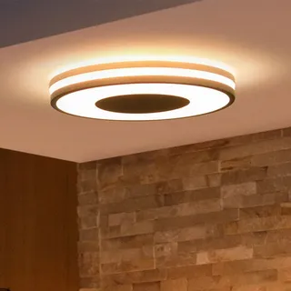 Philips Hue White Ambiance Being 22,5 W schwarz