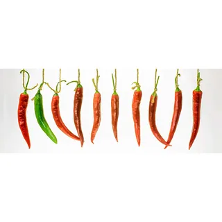levandeo Glasbild 30x80cm Wandbild Glas Chili Küchendeko Chilischote Rot Grün Wanddeko Küche Gewürze