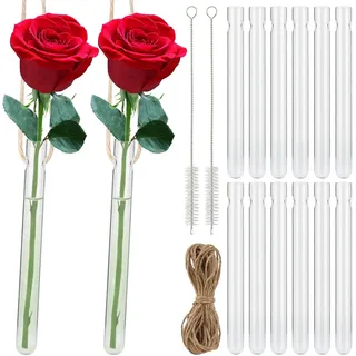 12 Stück Hängende Reagenzgläser für Blumen, Vase mit Loch Reagenzgläser, Transpa