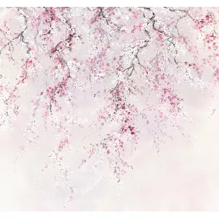 KOMAR Vliestapete "Kirschblüten" Tapeten 300x280 cm (Breite x Höhe) Gr. B/L: 300 m x 280 m, Rollen: 1 St., rosa (rosa, weiß) Blumentapeten