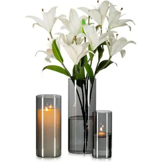 luxuskollektion Graue Glasvase Zylinder Vase Rund 3er Set Moderne Wohnzimmer Deko