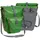 parrot green