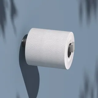 Keuco EDITION 11 Toilettenpapier-Ersatzrollenhalter, verdeckte Befestigung, 11163060000, Farbe: Edelstahl-finish