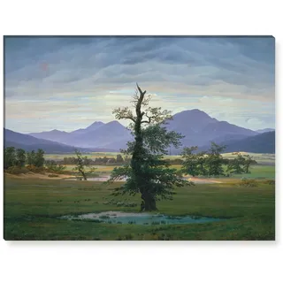 Wandkings Leinwandbilder von Caspar David Friedrich - Wähle ein Motiv & Größe: "Der einsame Baum" - 80 x 60 cm