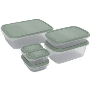Rotho Frischhaltedose grün 6-teiliges Set