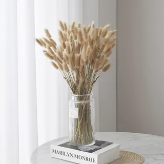 FANNAS Pampasgras Trockenblumen Deko, 60 Stück Hasenschwänze Pampasgras Getrocknet Trockenblumen,Natürliche Pampas Gras Trockenblumen für Blumen Arrangements Heim Decor Hochzeit (Primärfarbe)
