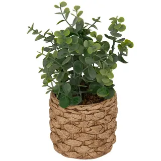 Atmosphera Créateur d'intérieur Künstlicher Eukalyptus in grün | Gr.: onesize