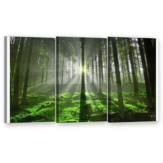 Visario Leinwandbild 3-teilig XXL 150x90 cm 1130 - Wald mit Sonnenstrahlen - Licht zwischen hohen Stämmen - Wandbild-Set je 50x90 cm fertig aufgespannt auf Holzrahmen