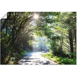 Poster ARTLAND "Sonniger Wald", grün (farbe bild(er): grün), B:70cm H:50cm, Bilder, Poster, ohne Rahmen