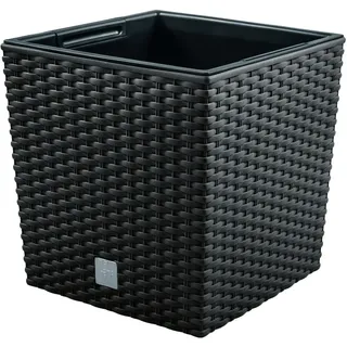 Prosperplast Rato Low 17 x 17 x 17 cm anthrazit
