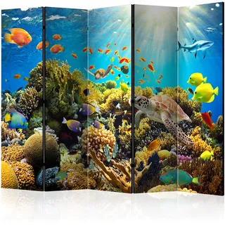 murando - Paravent Raumteiler Innen für Kinder 225x172 cm einseitig auf Vlies-Leinwand Bedruckt Trennwand Spanische Wand Sichtschutz Raumtrenner Home Office Kinderzimmer b-A-0002-z-c