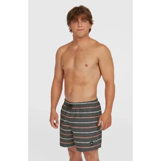 O'Neill Cali First 15'' Badeshorts Grau S