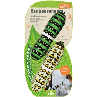 Moses Expedition Natur Raupenrennen