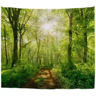 A.Monamour Wanddekor Wandteppiche Sonnenstrahlen Durch Buchen Bäume Wald Fußweg Straße Natur Landschaft Bild Stoff Wandbehang Tapisserie Wandkunst Dekore Tischdecke Bettdecke