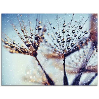 Glasbild ARTLAND "Pusteblume Regen abstrakt" Bilder Gr. B/H: 60 cm x 45 cm, Glasbild Blumen Querformat, 1 St., blau Glasbilder in verschiedenen Größen