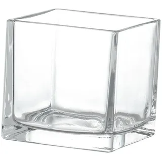 Luxshiny Quadratische Blumevase Glas Dickwandige Hydroponik Vase aus Glas Eckig für Hydrokulturpflanzen Tischdeko für Zuhause und Küche