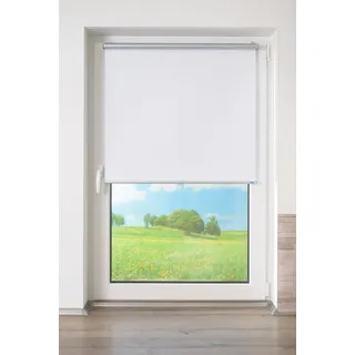 K-HOME Springrollo Anna 70 x 150 cm weiß
