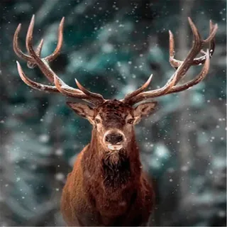 Puzzle 5000 Teile-Hirsch im Schnee Klassische Puzzle 5000,Impossible Puzzle Geschicklichkeitsspiel für die Ganze Familie,Farbenfrohes Puzzle für Erwachsene und Kinder ab 14 Jahren-61.61x41.53 Zoll (1