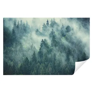 WallArena Fototapete Wald im Nebel Vliestapete 350x250