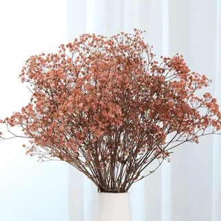 Getrocknetes Schleierkraut-Blumenstrauß - 2000+ braune Trockenblumen, 43 cm natürliche Gypsophila-Zweige für Hochzeit, Tischvasendekor, DIY-Kranzfloristik, Heim-, Büro-, Party- und Gartendekor