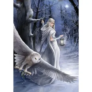 ART PUZZLE Puzzle Puzzle Kollektion Anne Stokes: Midnight Messenger 1000 Teile, Puzzleteile
