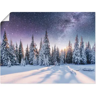 Wandbild ARTLAND "Tannenwald im Schnee vorm Sternenhimmel", blau (farbe bild(er): blau), B:60cm H:45cm, Bilder, als Alubild, Leinwandbild, Poster in verschied. Größen