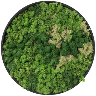 ECD Germany Moosbild Rund Ø 30 cm Mooswand Indoor mit echtem Islandmoos, Wanddeko mit Holzrahmen, Wandbild 3D-Effekt, Natürliche Optik, Pflegefrei