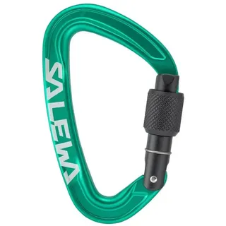 Salewa Ortles Schraubkarabiner Grün