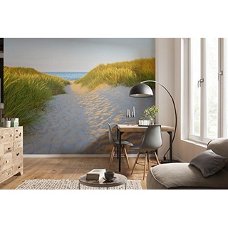 Komar Fototapete | SANDY PATH | 368 x 254 cm | Tapete, Wand Dekoration, Düne, Sand, Strand, Meer, Landschaft, Urlaub, Ostsee | 8-995