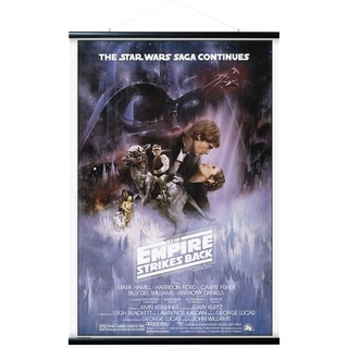 Erik Magnetische Posterleiste mit Poster - Star Wars Classic Das Imperiuum Schlägt Zurück - Poster mit Rahmen